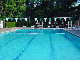 BELLEVUE POOL CHAISES